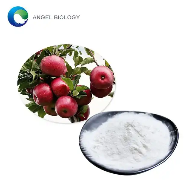 Phlorizin Powder